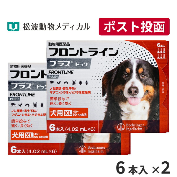 当院獣お医者さん養成《人用加えること》Dr.ネコアレ 内部から「整える」乳酸菌サプリ