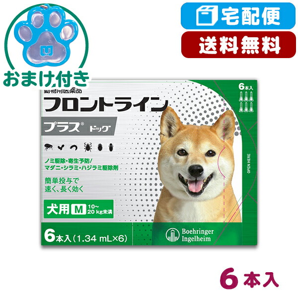 B 5 Off引換証 なくなり追い追い止め 前っ面通路増すまわし者役立つこと M 10 kg 1箱6篇章入り 毛の荒物用薬威信 宅配思わしい ノマイル マダニ 虱追い立て 5 31 月色 10 00 7 30 金属 9 59 Nov610 Gullane Com Br