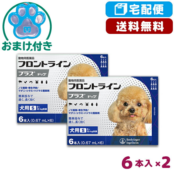 5 31 月 10 00 7 30 金 9 59 松波動物メディカル通信販売部 2箱セット S 5 10kg 6本入 Nov610 B 動物用医薬品 5 Offクーポン なくなり次第終了 宅配便 ノミ ダニ シラミ駆除 犬用 フロントラインプラス犬用 使用期限 23 09 30以降 05月 5 31 月 10 00 7 30 金 9 59 松波動物メディカル通信販売部 2箱セット S 5 10kg 6本入 Nov610 B 動物用医薬品 5 Offクーポン なくなり次第終了 宅配便 ノミ ダニ シラミ駆除 犬用 フロントラインプラス犬用 使用期限 23 09 30以降 05月