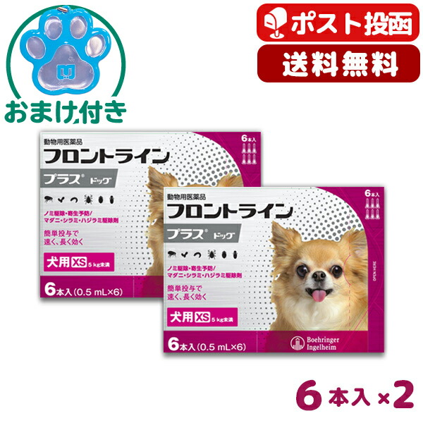 メール便送料無料対応可 使用期限 23 10 31以降 05月現在 他の商品とはご一緒にお買い求めいただけません A 5 Offクーポン なくなり次第終了 送料無料 フロントラインプラス犬用 Xs 5kg未満 6本入 2箱セット 動物用医薬品 ノミ ダニ