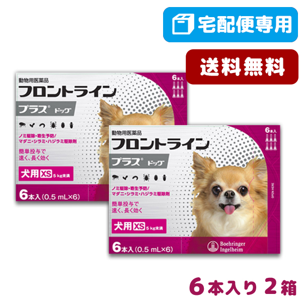 安い 楽天市場 B 5 Offクーポン なくなり次第終了 送料無料 フロントラインプラス犬用 Xs 5kg未満 6本入 2箱セット 動物用医薬品 宅配便 ノミ ダニ シラミ駆除 4 1 木 10 00 5 31 月 9 59 松波動物メディカル通信販売部 好評 Lexusoman Com