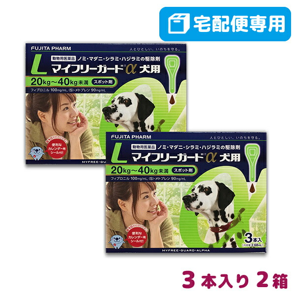 楽天市場 B 最大400円offクーポン 動物用医薬品 マイフリーガードa 犬用 L 40kg用 3本入 2箱セット 8 1 日 0 00 8 6 金 9 59 Mfg01 松波動物メディカル通信販売部