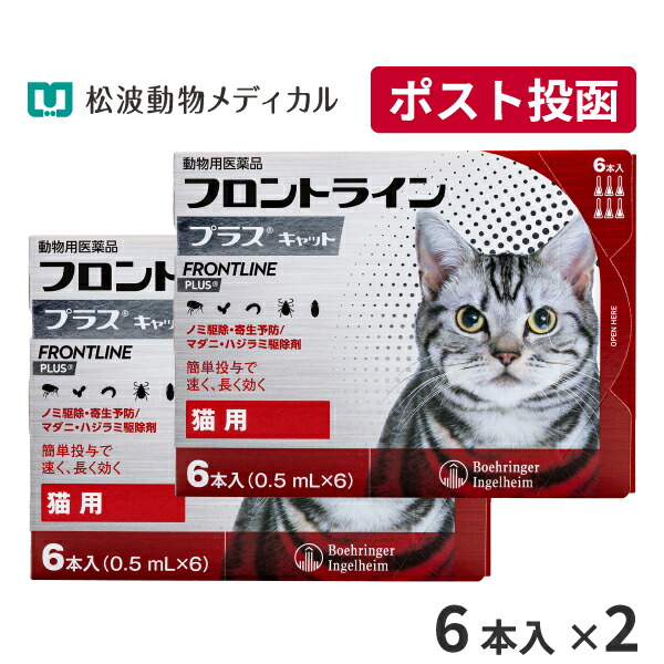 当院獣お医者さん養成《人用加えること》Dr.ネコアレ 内部から「整える」乳酸菌サプリ