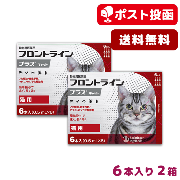 楽天市場 A 最大350円offクーポン 送料無料 フロントラインプラス猫用 1箱6本入 2箱セット 動物用医薬品 ノミ ダニ ハジラミ駆除 8 10 火 10 00 8 金 9 59 松波動物メディカル通信販売部