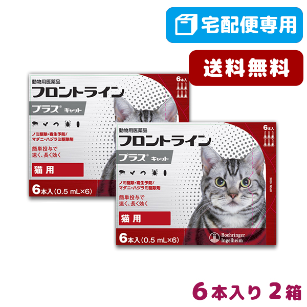 楽天市場 B 送料無料 フロントラインプラス猫用 1箱6本入 2箱セット 動物用医薬品 宅配便 ノミ ダニ ハジラミ駆除 松波動物メディカル通信販売部