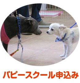 パピースクール パピースクール