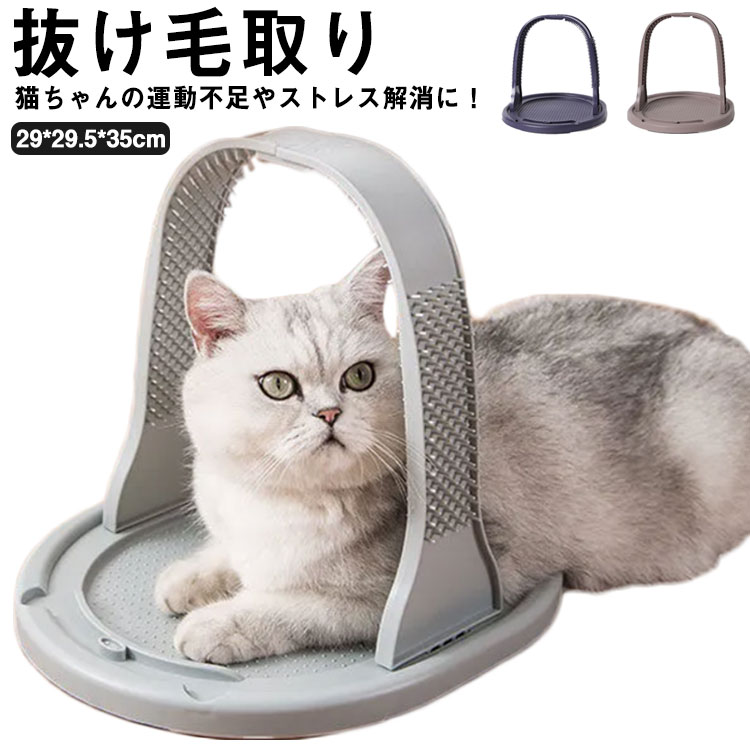 猫おもちゃ 猫 ブラシ 犬 ペットブラシ 猫のおもちゃ 猫じゃらし 安定 子猫 抜け毛取り ペット マッサージブラシ ペット用品 ネコ ピンブラシ 毛づくろいブラシ 毛玉取り 多頭飼い 転倒防止 省スペース コンパクト猫玩具 遊び場 可愛い 人気 愛猫 特別セーフ