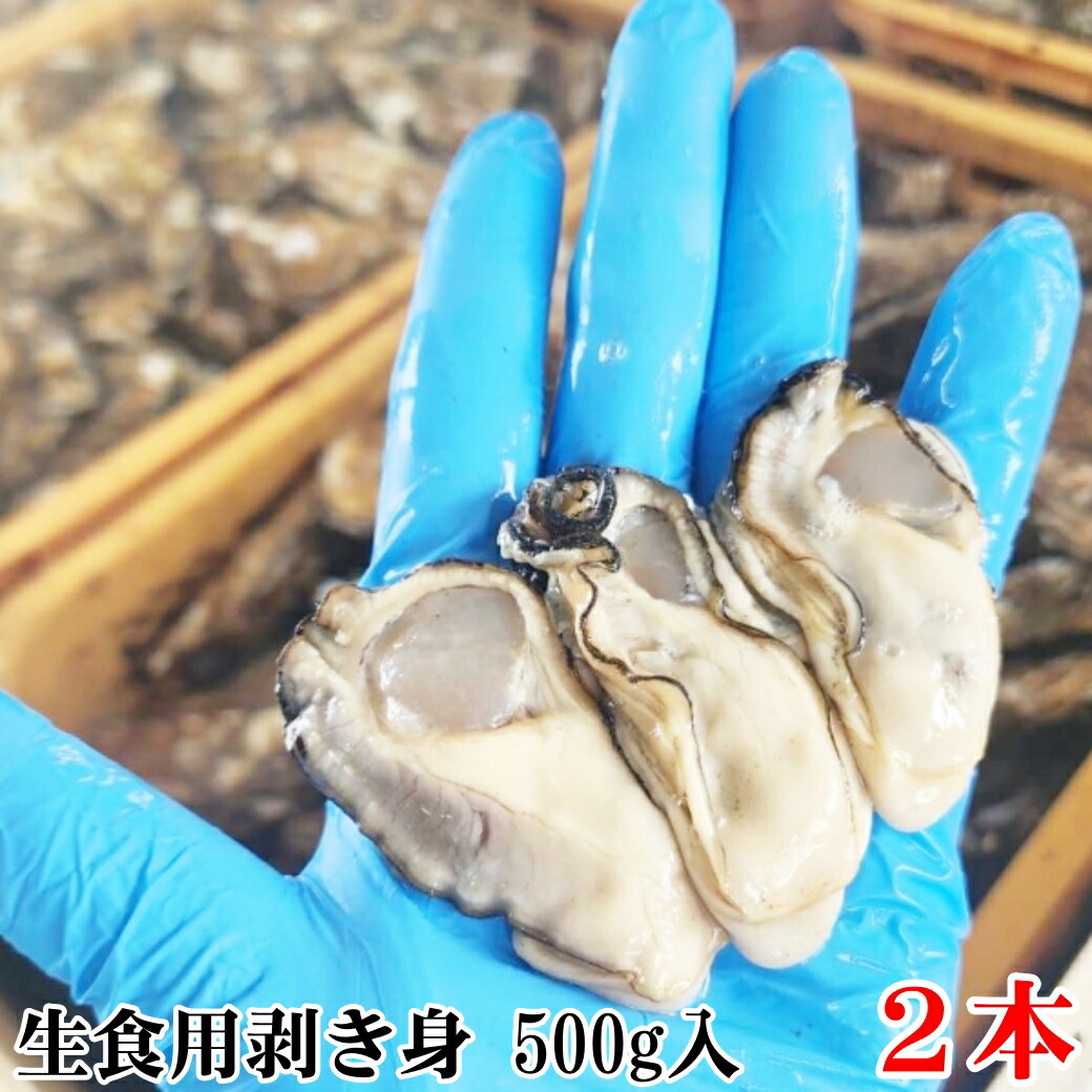 【30％OFFクーポン有】牡蠣 むき身 生食用 生牡蠣生食用 「剥き身 牡蠣  500ｇ×２本」 カキ 牡蛎 むき身【条件付き】宮城県産　 漁師直送品 松島牡蠣屋 カキ 牡蠣 カキフライ 牡蠣のアヒージョ 牡蠣のオイル漬【一部条件付きです要確認【60】