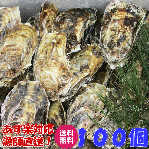 一個牡蠣 １００個」 殻付き 牡蠣 殻付き 牡蛎 牡蠣 殻付 宮城県産 無