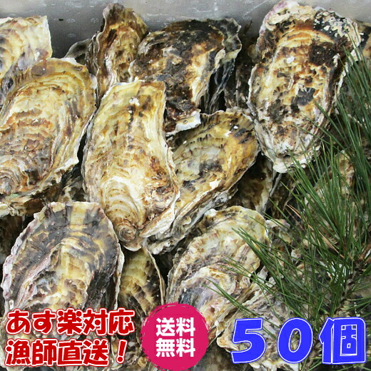 「一個牡蠣 ５０個」 殻付き 牡蠣 殻付き 牡蛎  牡蠣 殻付 宮城県産 無選別牡蠣 カキ 加熱用 松島牡蠣屋  送料無料 ＢＢＱ ギフト 食べ物 お中元 お歳暮バーベキュー海産物【120】