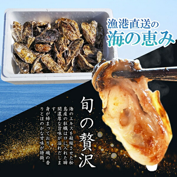 無選別MIX5kg(約60粒)冷凍便送料無料!宮城県産殻付き牡蠣殻付き殻付カキ加熱用一年子松島牡蠣屋無選別牡蠣