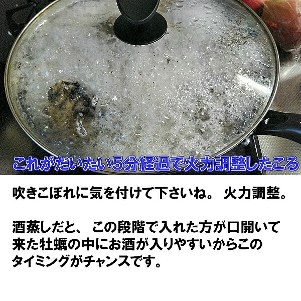無選別MIX5kg(約60粒)冷凍便送料無料!宮城県産殻付き牡蠣殻付き殻付カキ加熱用一年子松島牡蠣屋無選別牡蠣