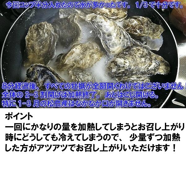 無選別MIX5kg(約60粒)冷凍便送料無料!宮城県産殻付き牡蠣殻付き殻付カキ加熱用一年子松島牡蠣屋無選別牡蠣