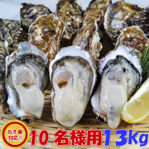 日本製 楽天市場 あす楽対応 牡蠣 １３ｋｇ 約145粒 送料無料 宮城県産 殻付き 牡蠣 殻付き 無選別牡蠣 牡蠣 殻付 カキ 加熱用 一年子 松島牡蠣屋 お花見にｇｗbbqに父の日母の日バーベキューに 松島牡蠣屋 メール便なら送料無料 Lexusoman Com