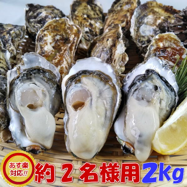 【楽天市場】「生食用 殻付き 牡蠣 ２ｋｇ」（14~35粒）【一部条件 