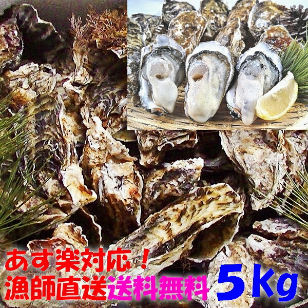 【緊急値下げ中】牡蠣 5kg 5キロ 殻付き 牡蠣 殻付き 牡蛎 牡蠣 殻付 宮城県産 無選別牡蠣 カキ 加熱用 松島牡蠣屋 海産物 魚介類 魚介 海鮮 母の日 父の日 送料無料 BBQ バーベキュー 「牡蠣 加熱用5kg」【100】