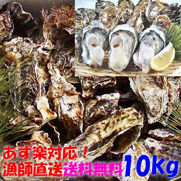 15時まで即日発送も可能】生食用牡蠣20kg 約200粒 宮城県産 殻