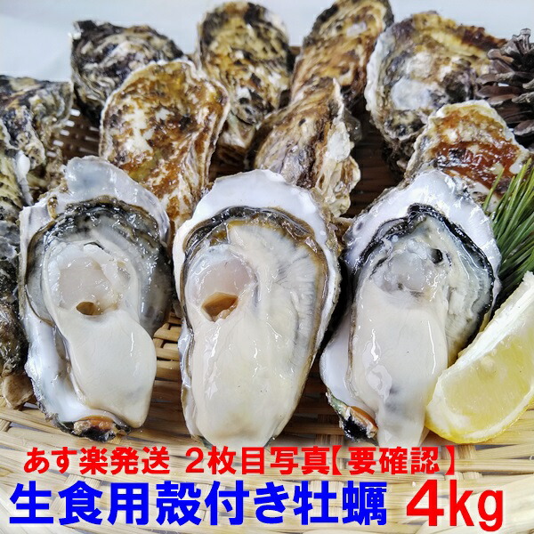 【緊急値下げ中】「生食用 殻付き 牡蠣 4kg」生食用（28~70粒）【一部条件付き要説明確認 】牡蠣 殻付き 牡蛎 牡蠣 殻付 宮城県産 カキ 加熱出荷時増量タイプ5kg【現在は生食出荷中】海産物 魚介類 魚介 海鮮 母の日 父の日 送料無料 BBQ バーベキュー 【100】