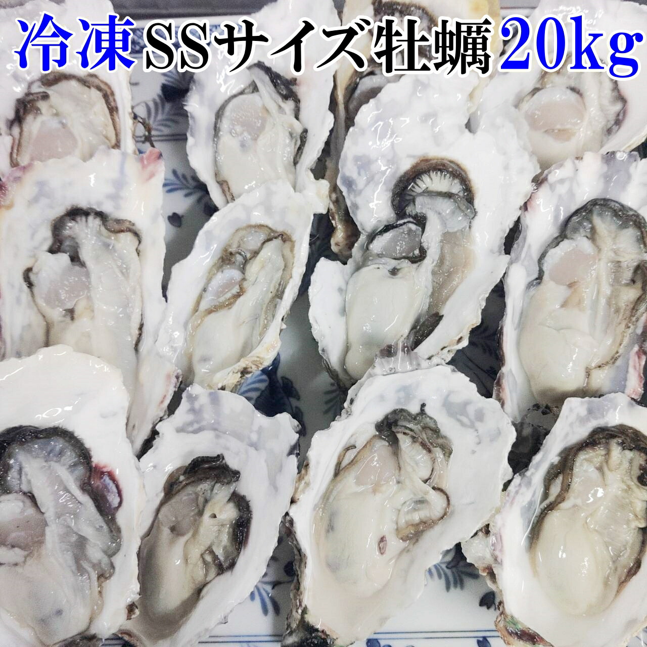 【特別企画 4/20 300枚限定 20％OFFクーポン】牡蠣 殻付き 【現在冷凍出荷中】加熱用「牡蠣 ＳＳ20ｋｇ」20キロ 宮城県産 殻付き 牡蠣 殻付き 無選別牡蠣 牡蠣 殻付 カキ 加熱用 松島牡蠣屋 牡蛎 牡蠣小屋風 牡蠣食べ放題ＢＢＱ ギフト 【140】 7,906円