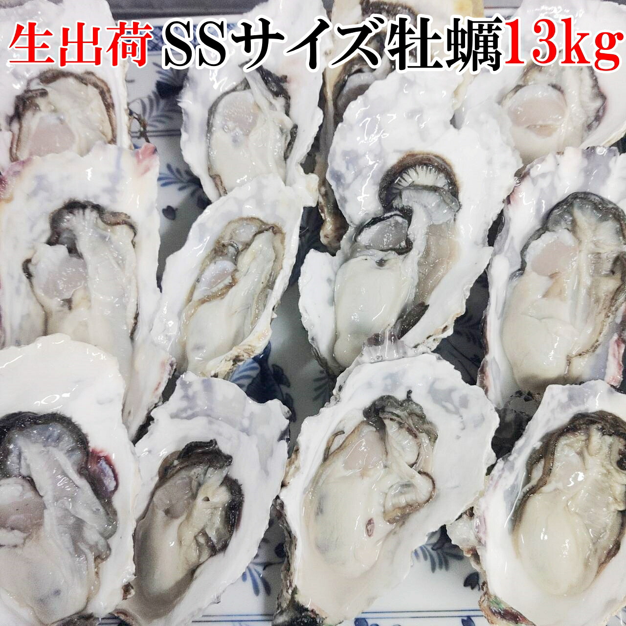 生出荷 生牡蠣「牡蠣 ＳＳ13ｋｇ」（約260粒）宮城県産 殻付き 牡蛎 牡蠣 殻付き 無選別牡蠣 牡蠣 殻付 カキ 加熱用 松島牡蠣屋 牡蛎 ＢＢＱ バーベキュー食材 海産物