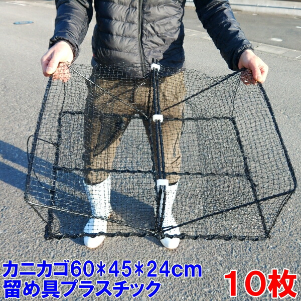 楽天市場】連休中出荷可能 角型タイプ 10枚 送料無料 新品