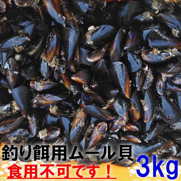 楽天市場 あす楽対応 釣り餌に ムール貝 ムラサキイガイ３ｋｇ 小分け袋入り冷凍品 ３キロ イガイ カラス貝 ムール貝 釣りエサ クロダイ 黒鯛 チヌ 石鯛 コブダイ カワハギ釣りに 冷凍餌 冷凍エサ 食用ではありません 60 松島牡蠣屋