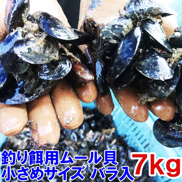 【楽天市場】釣り餌に ムール貝 「ムラサキイガイ１０ｋｇ」小分け 