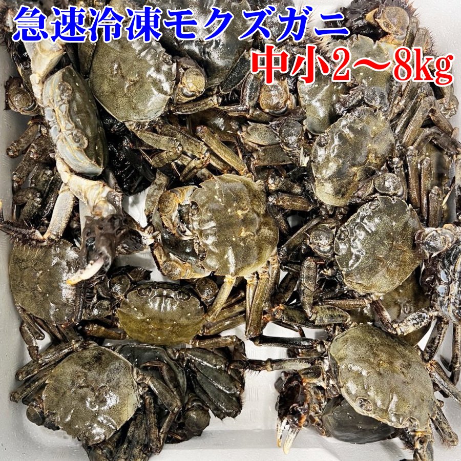 【休業日はプロフ参照「食用イシガニ 石蟹８kg 冷凍発送のみ」 送料無料 4ｋｇ×２箱で発送 店長漁獲の漁師直送品 松島牡蠣屋 離島沖縄対象外 ＢＢＱ 母の日 父の日 ギフト 食べ物 お中元 お歳暮 バーベキュー 海産物 8キロ 食用イシガニ 石蟹4kg×2箱で8kg 」店長漁獲の漁師直送品 松島