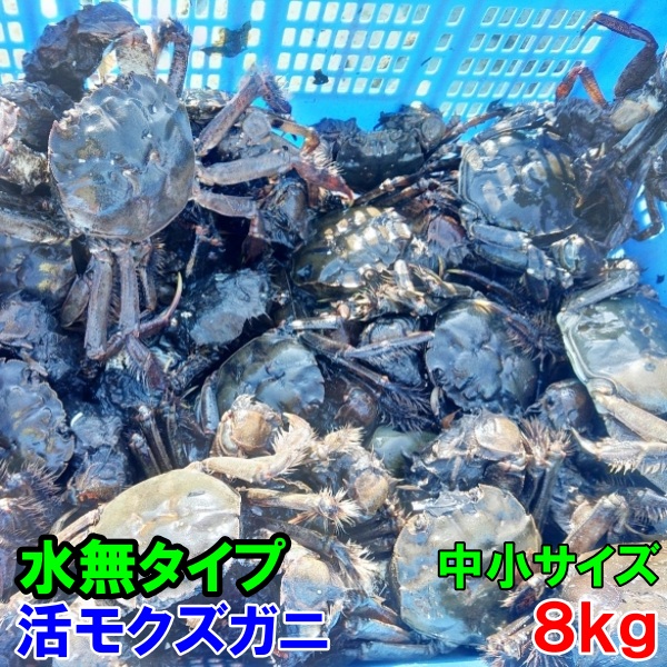 【10％OFFクーポン有】活モクズガニ【海水なしタイプ】 小中サイズ８kg(目安80-160杯) ツガニ つがに 宮城県松島産 配送地域四国中国九州沖縄の方におススメ 他に大サイズも出品中 もくずがに「海水なし モクズ小中 ８ｋｇ」【120】