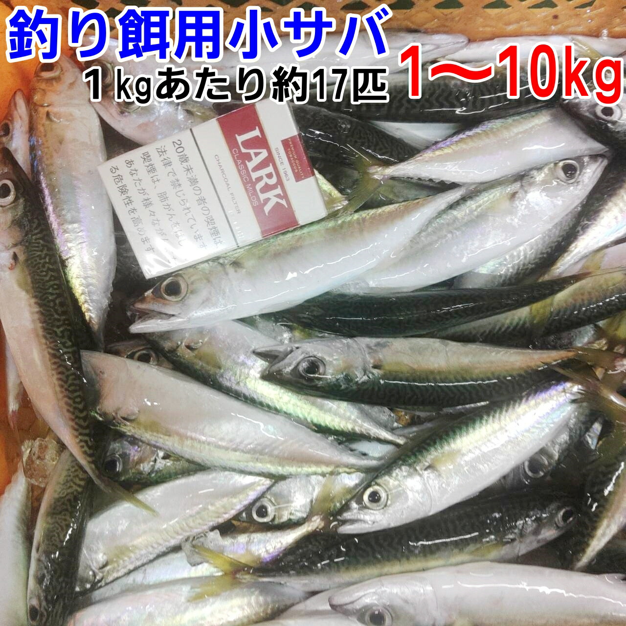 楽天市場】釣り餌に ムール貝 「ムラサキイガイ７ｋｇ」小分けなしタイプ 冷凍品 ７キロ イガイ カラス貝 ムール貝 釣りエサ クロダイ 黒鯛 チヌ  石鯛 コブダイ カワハギ釣りに 【食用ではありません】【100】 : 松島牡蠣屋