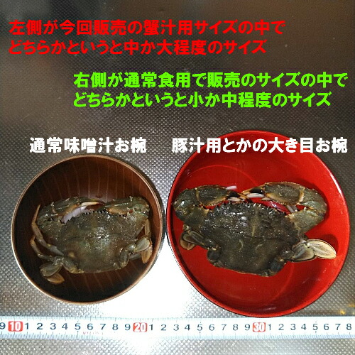 冷凍出荷！カニ汁用！石蟹小サイズ2kg」 松島牡蠣屋 漁師の店長