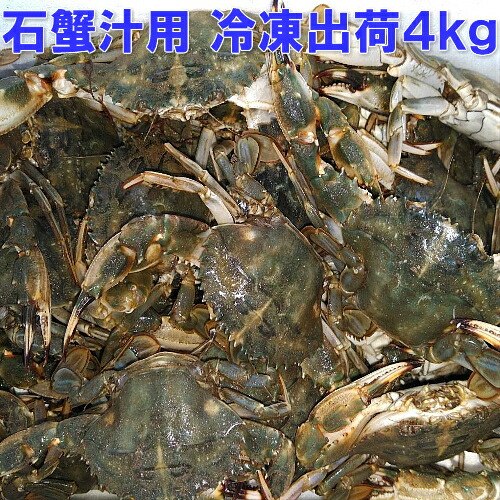 「冷凍出荷！カニ汁用！石蟹小サイズ４kg」 松島牡蠣屋 漁師の店長自ら漁獲です！蟹汁 味噌汁 中華料理 フィリピン料理にも 2ｋｇが２箱発送 目安：4ｋｇで80杯程度【100】冷凍蟹 冷凍カニ