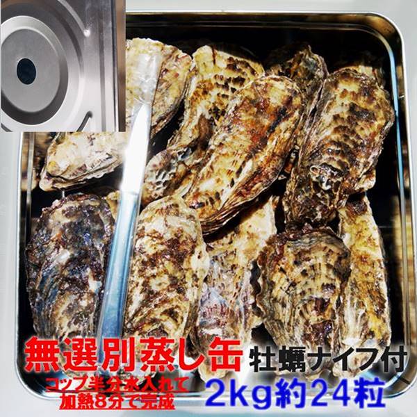 牡蠣 殻付き 生牡蠣 加熱用「無選別蒸し缶２ｋｇ」 【約２３粒】 殻付き 牡蠣 殻付き 牡蛎 殻付 宮城県産 無選別牡蠣 カキ 松島牡蠣屋 ＢＢＱ ギフト お中元 バーベキュー海産物 貝類 貝 kaki oyster オイスター【80】