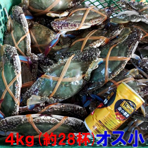 楽天市場 ワタリガニ オス大サイズ 渡り蟹 ガザミ 梭子蟹 ケジャンにも 活発送 ２ｋｇ 約６杯 送料無料 カンナ屑梱包 活到着補償販売ではございません がざみ 蟹通販 宮城県産 ガザミ オス大２ｋｇ 80 松島牡蠣屋