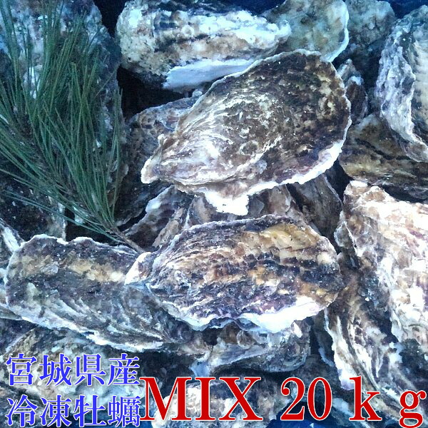 「無選別MIX20kg」（約240粒）冷凍便送料無料！宮城県産 殻付き 牡蛎 牡蠣 殻付き 無選別牡蠣 牡蠣 殻付 カキ 加熱用 松島牡蠣屋 牡蛎 BBQ ギフト 食べ物 お中元 お歳暮 バーベキュー食材 海産物【140】★画像