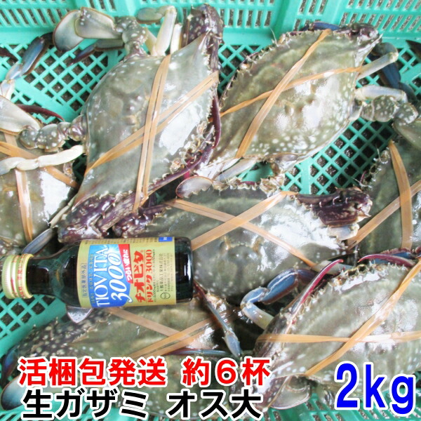 カンナ屑梱包 ワタリガニ オス大活発送 ２ｋｇ（約6杯） 渡り蟹 ガザミ 生蟹 生カニ梭子蟹 ケジャンにも！送料無料 活到着補償販売ではございません がざみ 蟹通販 宮城県産  梭子蟹 花蟹 三点蟹 ?? cua bi?n xanh ???? カンジャンケジャン