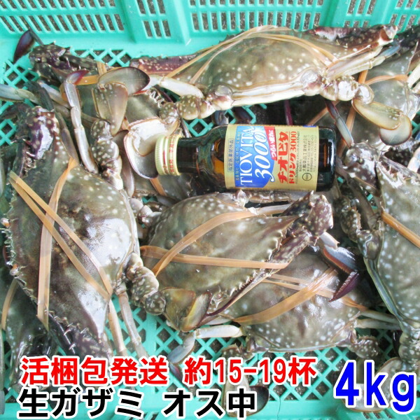 【休業日はプロフ参照「食用イシガニ 石蟹８kg 冷凍発送のみ」 送料無料 4ｋｇ×２箱で発送 店長漁獲の漁師直送品 松島牡蠣屋 離島沖縄対象外 ＢＢＱ 母の日 父の日 ギフト 食べ物 お中元 お歳暮 バーベキュー 海産物 8キロ 楽天市場】「冷凍食用イシガニ 石蟹4kg×2箱」で8kg 送料無料