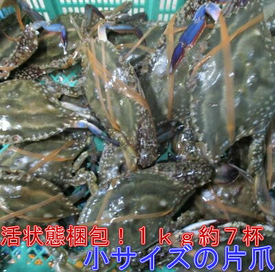 楽天市場 送料無料 訳あり 爪折れ 愛知 南知多 活〆 渡り蟹 ワタリガニ ガザミ オス 1kg 3匹 5匹 まると水産