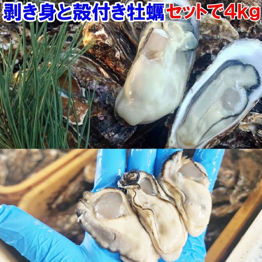 【30％OFFクーポン有】牡蠣 殻付き 生牡蠣 生食用 牡蛎  牡蠣 殻付「生食用 剥き身1ｋｇ 殻付き 牡蠣 ３ｋｇ」 で合わせて４ｋｇ  むき身 松島牡蠣屋 kaki （剥き身は500ｇが２本です）【80】