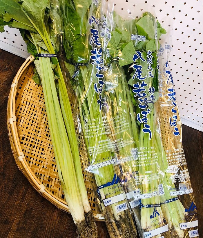 楽天市場 八尾若ごぼう 大阪府産 野菜セット同梱で送料無料 マツウラ八百屋