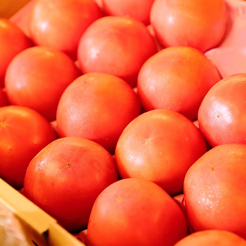 楽天市場 トマト 北海道 岐阜産 野菜セット同梱で送料無料 マツウラ八百屋