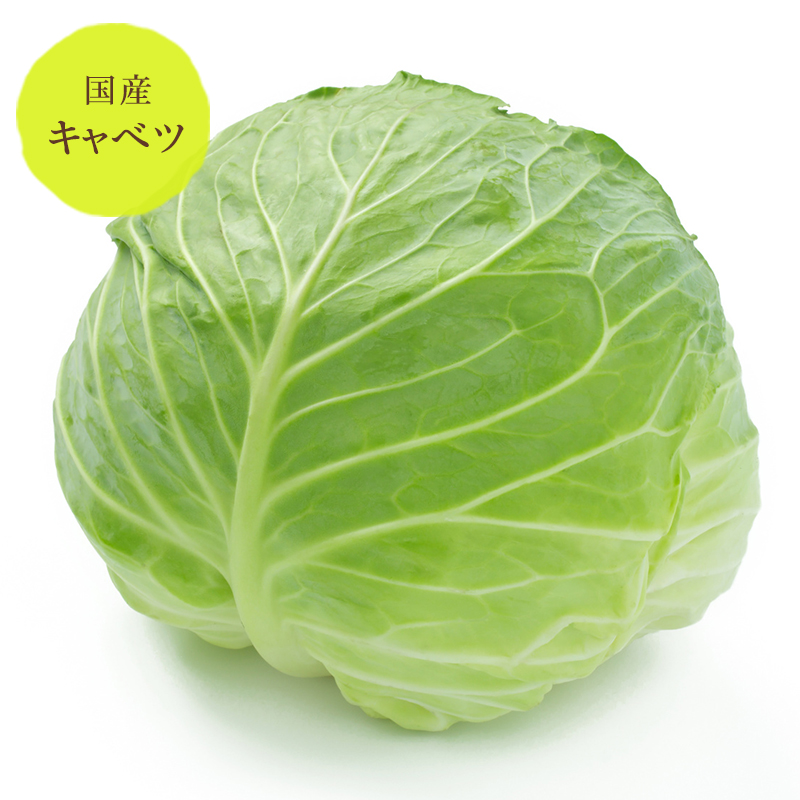 市場 キャベツ 群馬 野菜セット同梱で送料無料 長野産