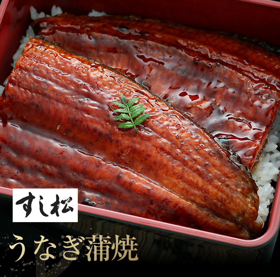 市場 土用の丑の日 プレミアム仕様牛めしの具×20 鰻のかば焼き うなぎ 鰻の蒲焼 ウナギ 鰻 うなぎカット80g×3枚 牛めしコンボセット