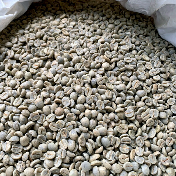 爆安!!【コーヒー生豆】グアテマラSHB 5kg※送料無料 楽天市場】【送料無料(一部地域を除く）】コーヒー 生豆