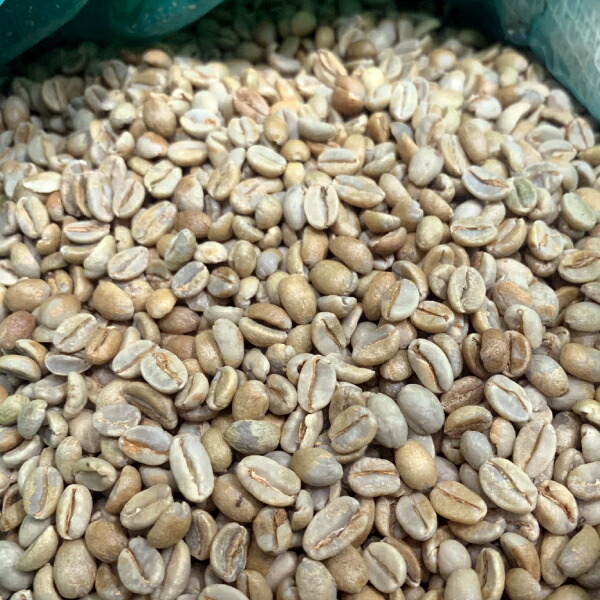 楽天市場】【送料無料(一部地域を除く）】コーヒー 生豆 珈琲 豆 未焙