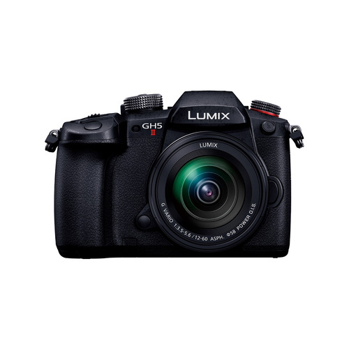 パナソニック DC-GH5M2M デジタル一眼カメラ DCGH5M2M