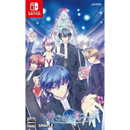 神さまと恋ゴコロ Nintendo Switch HAC-P-BA5XA