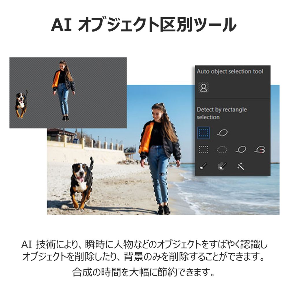 サイバーリンク PhotoDirector 12 PHD12ULTNM-001 Ultra モリサワフォント10書体も使用可能 通常版 限定品 12