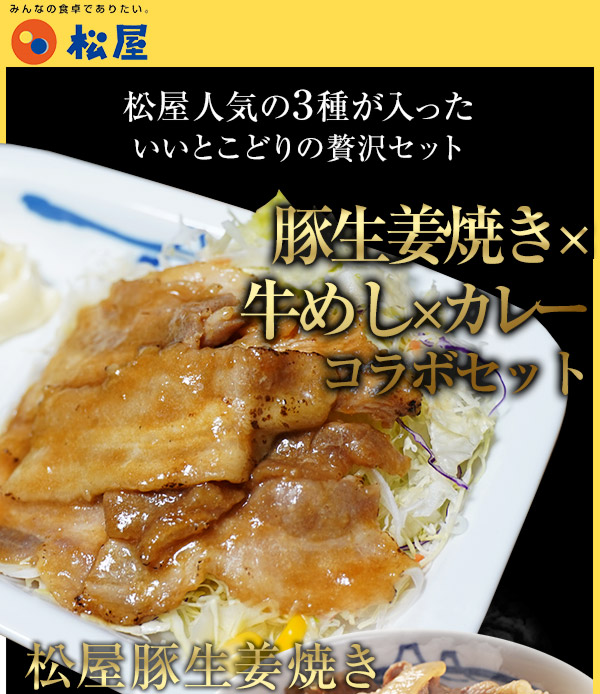 いいスタイル 松屋豚生姜焼き プレミアム仕様牛めし 松屋オリジナルカレー30食セット 豚生姜焼き65g ×5 牛めし×10 カレー×15 お取り寄せ  グルメ食品 お試し おためし 松屋 時短 受験 肉 牛丼 業務用 惣菜 送料無料 お弁当 絶品 レンジ fucoa.cl