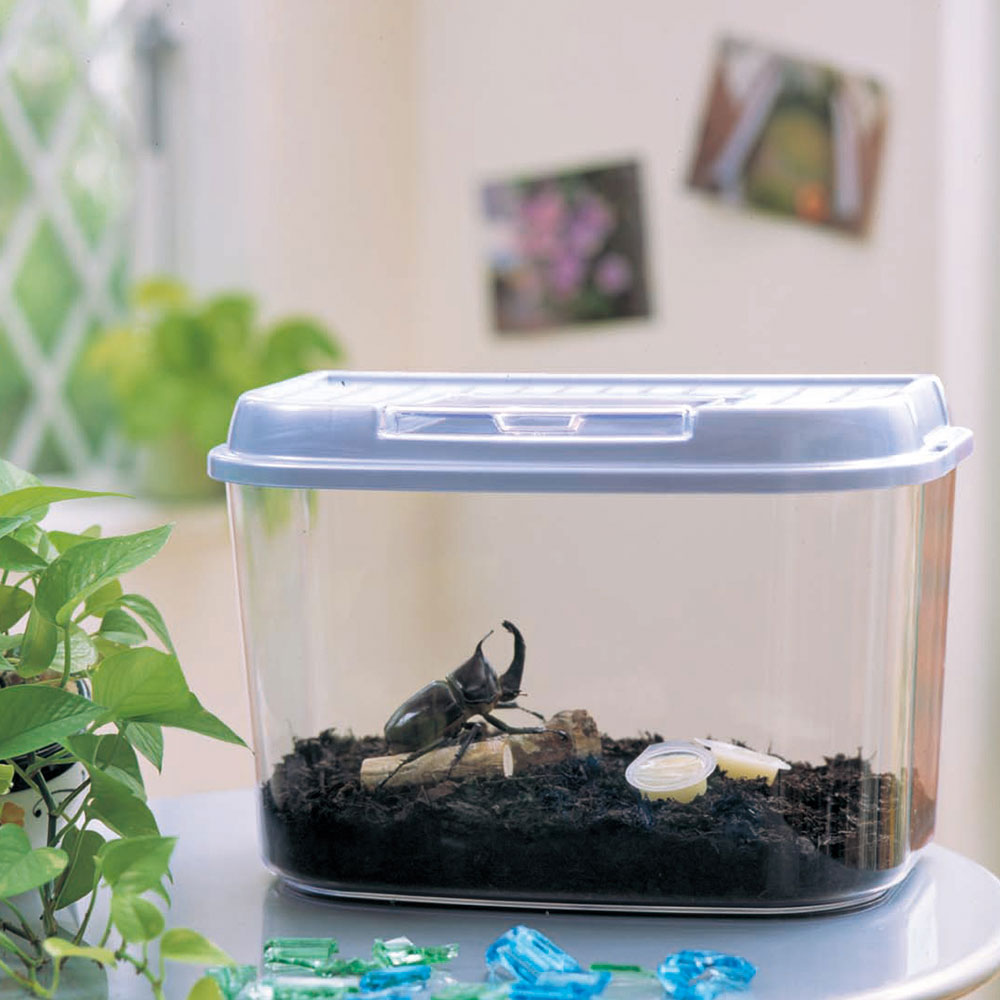 楽天市場】虫かご 虫篭 虫籠 飼育ケース 昆虫 虫かご 飼育ランド